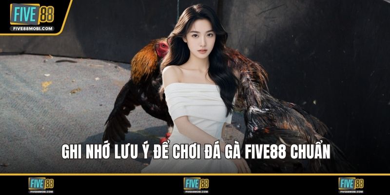 Ghi nhớ lưu ý để chơi đá gà Five88 chuẩn