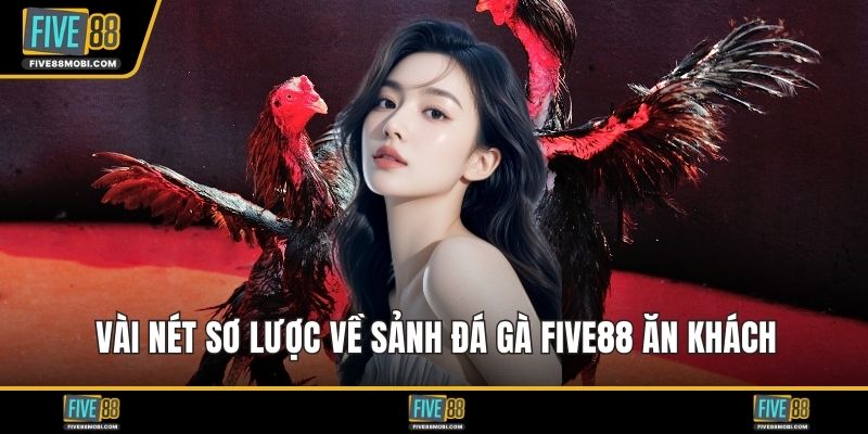 Vài nét sơ lược về sảnh đá gà Five88 ăn khách