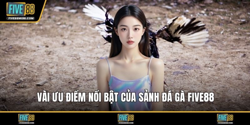 Vài ưu điểm nổi bật của sảnh đá gà Five88